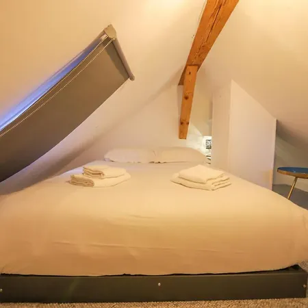 Le Factory Duplex En Vieille Cote Daire Annecy