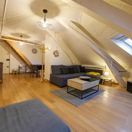 Daire Le Factory Duplex En Vieille Cote